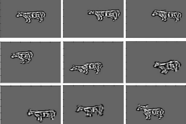 Vache · Vicarious · 2014